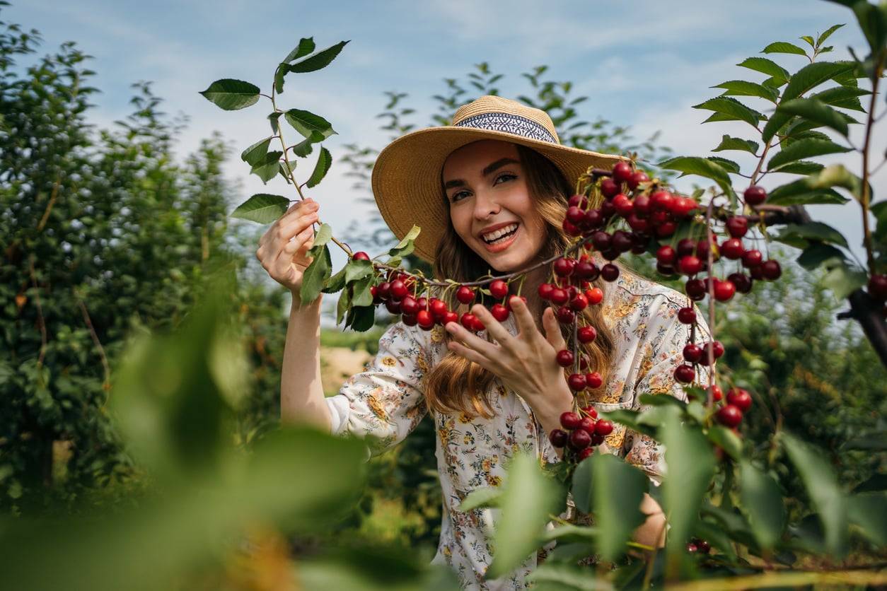 10 seasonal ingredients you should be cooking with in June