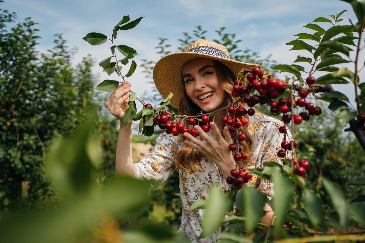 10 seasonal ingredients you should be cooking with in June — Lifestyle