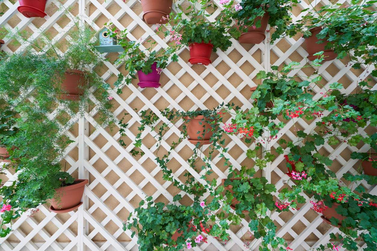 Parete verde sul balcone senza fare un solo buco: 5 soluzioni facili e bellissime — Arredo