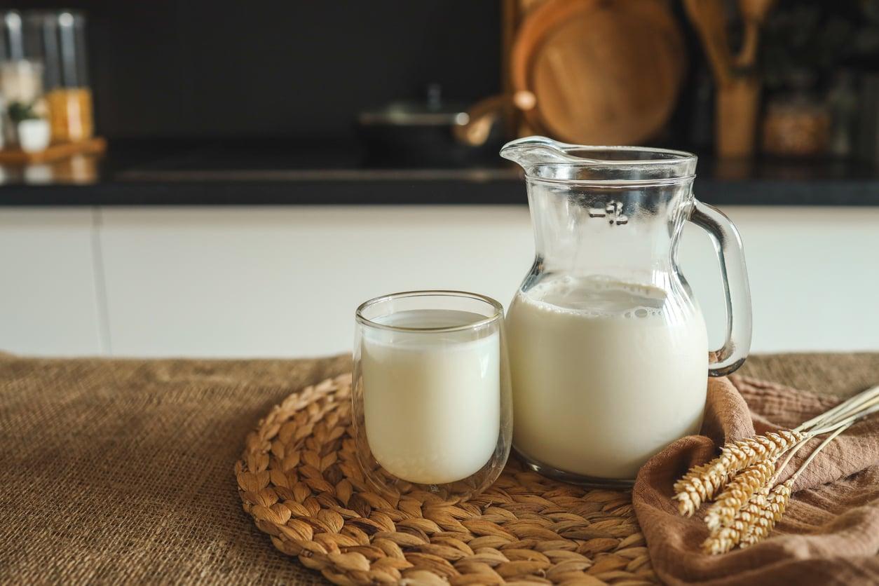 Milk in the garden? 5 surprising ways your plants will actually love it — Garden & terrace