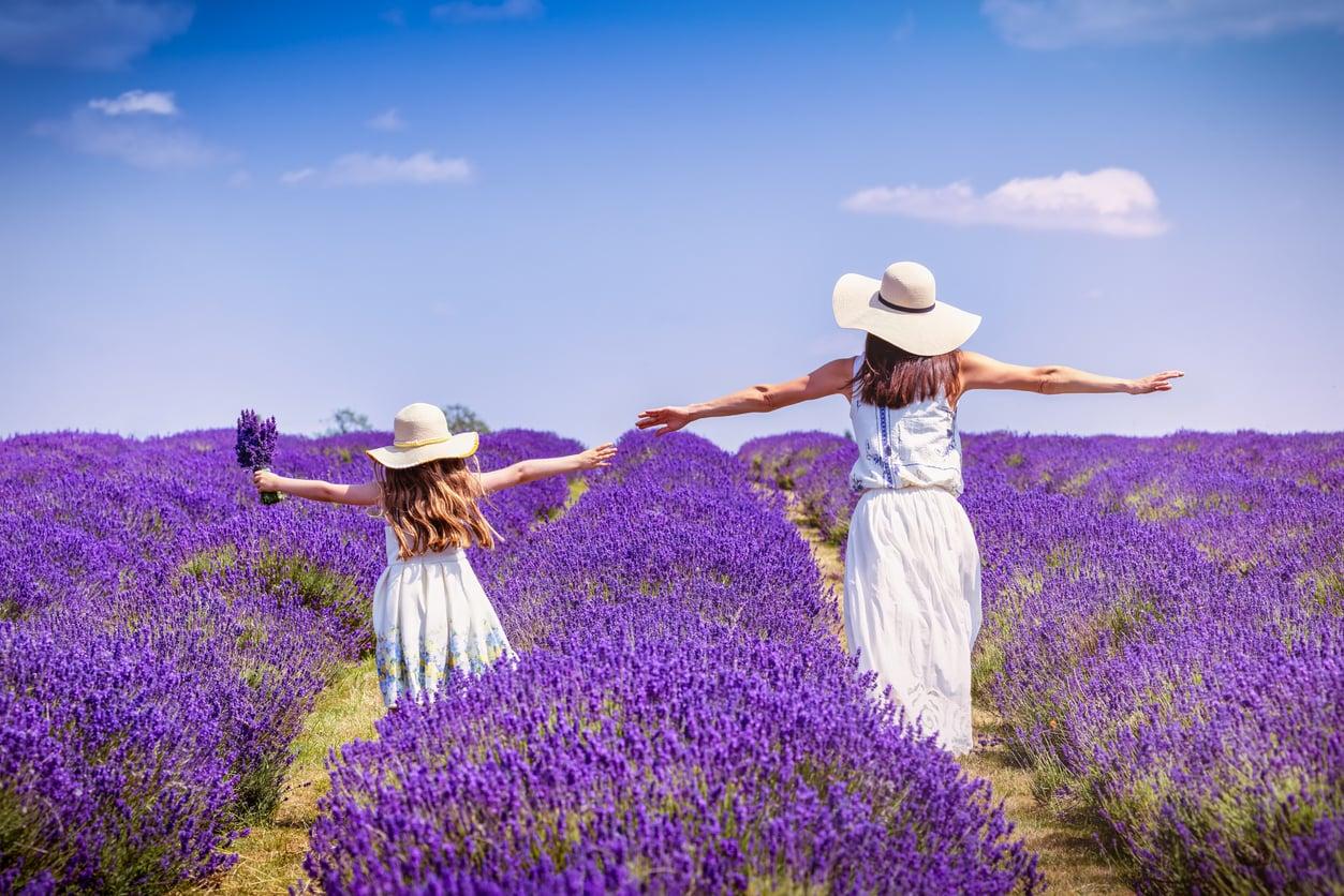 ¡Llega la temporada de la lavanda! 5 lugares de ensueño en Hungría donde puedes recogerla tú mismo — Ocio
