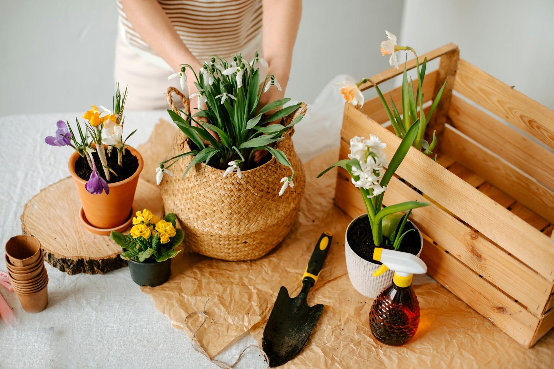 ¿Te falta tierra para macetas? 5 cosas que puedes poner en el fondo y ahorrar dinero — Jardín y terraza