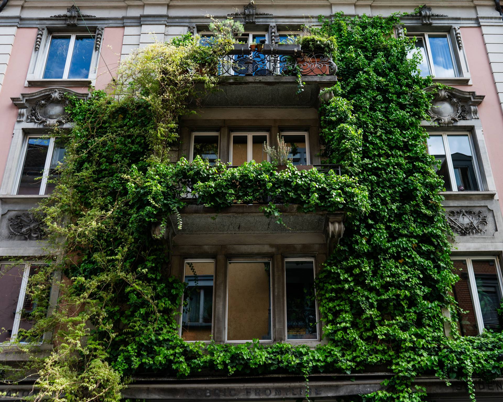 Queste piante rinfrescano davvero il balcone di cemento nelle giornate roventi