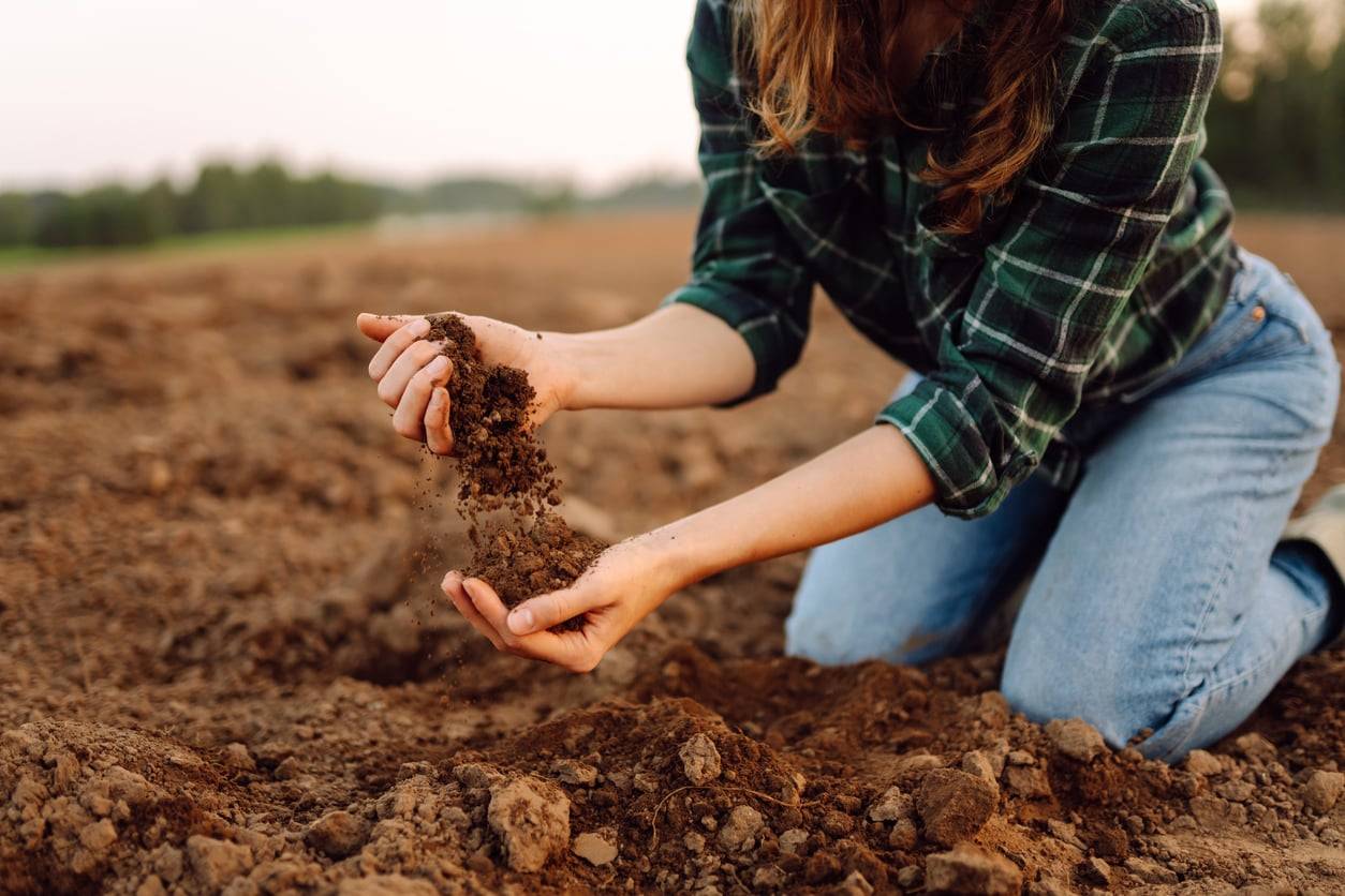The lazy gardener's secret weapon: cut your watering by two-thirds this summer
