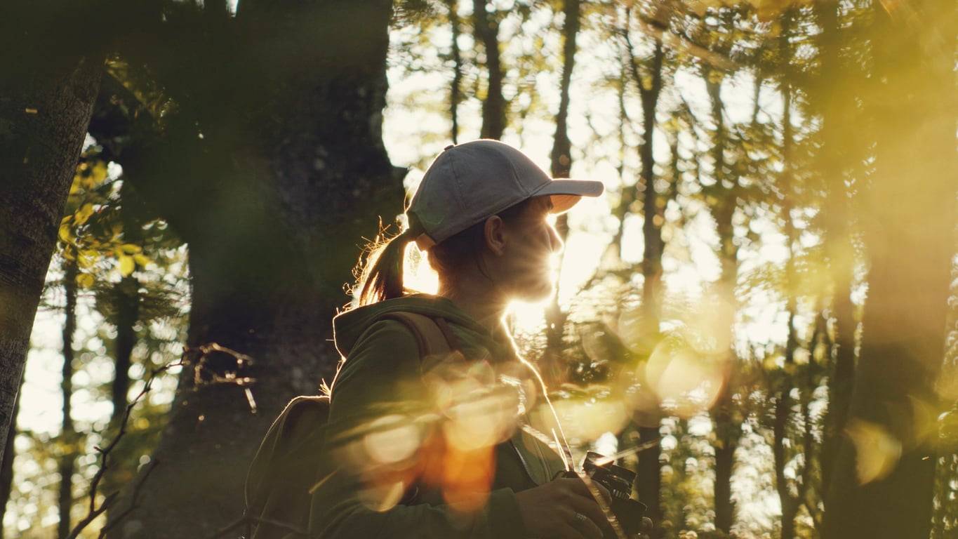 Just 10 minutes in the forest a day can quietly transform your mental health