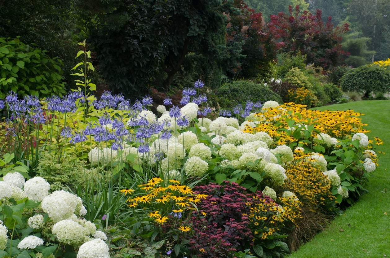 12 piante dai fiori giganti che trasformano il giardino in un sogno — Giardino e terrazza
