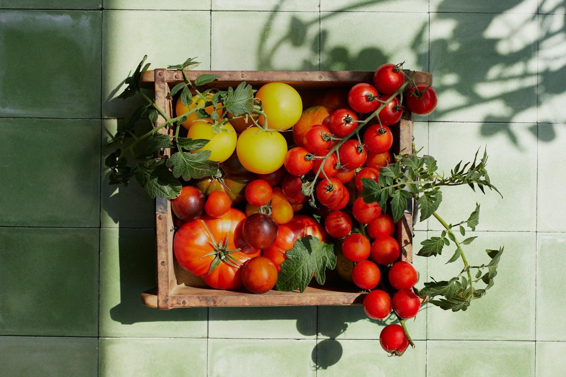 Do You Keep Tomatoes in the Fridge? Here's Why It Ruins the Flavor — Lifestyle