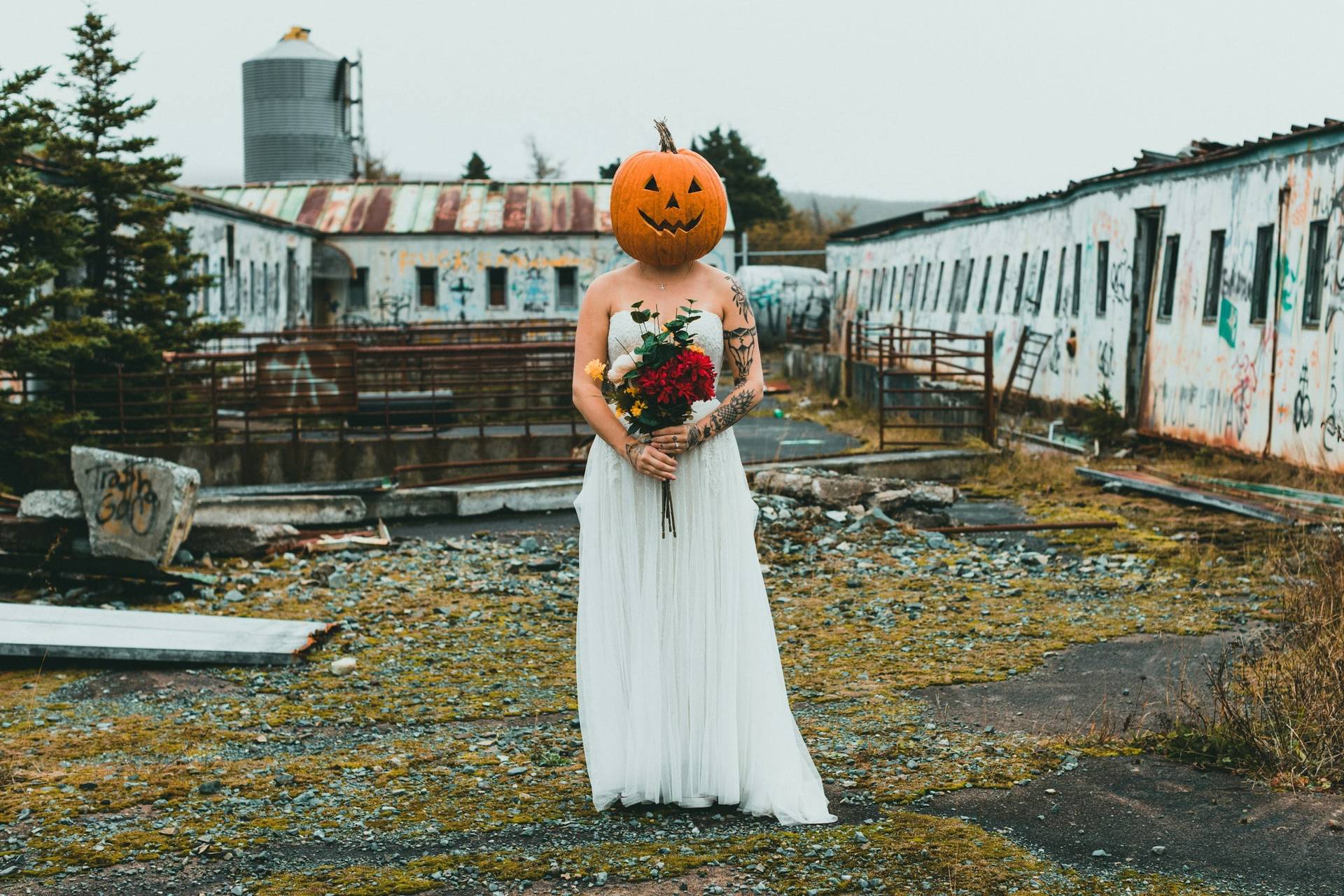 "My Mom and My Dad's New Girlfriend Got Into a Fistfight": Wedding Horror Stories You Won't Believe