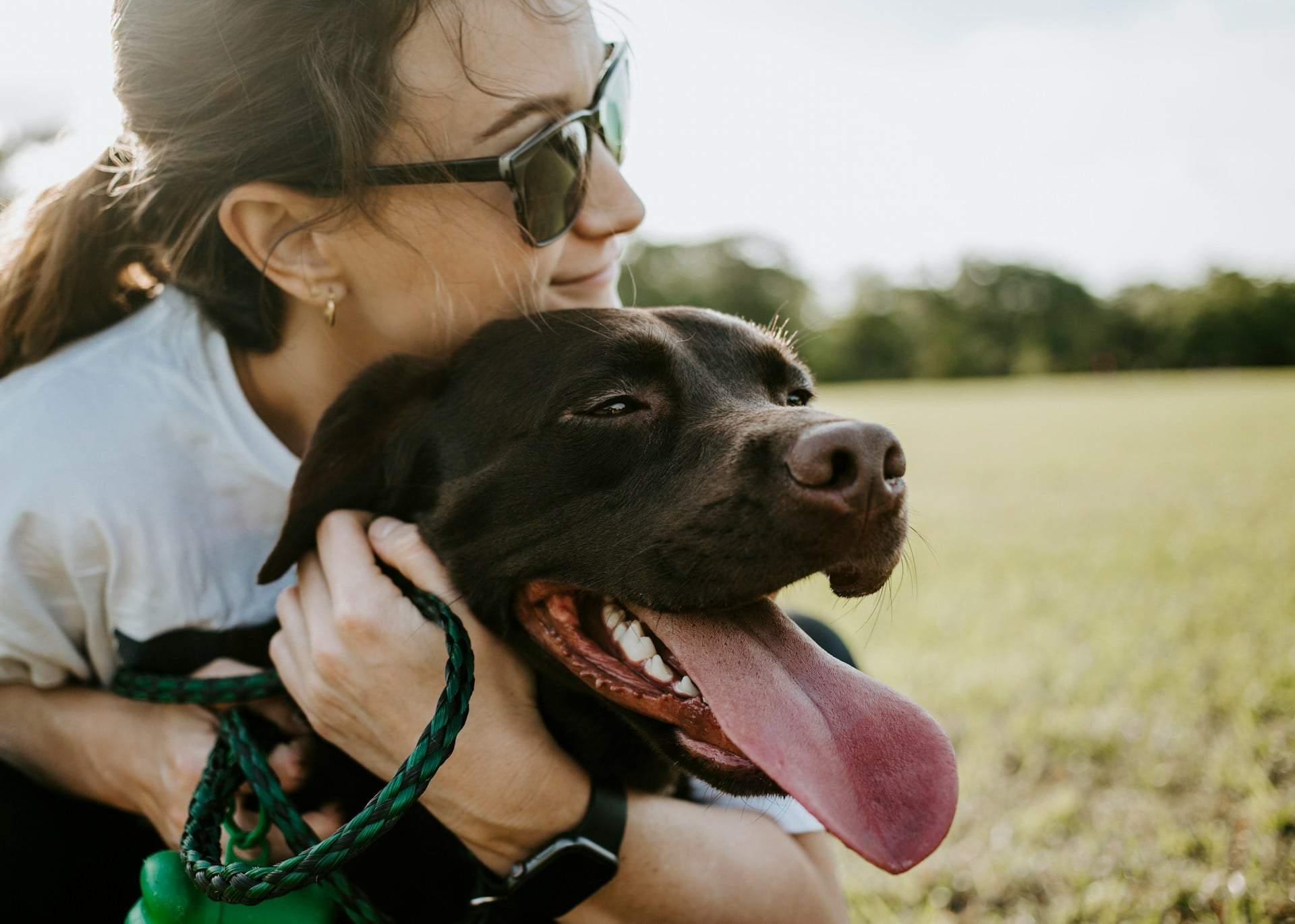 4 gestes discrets de votre chien qui prouvent que vous êtes la personne la plus importante de sa vie — Famille