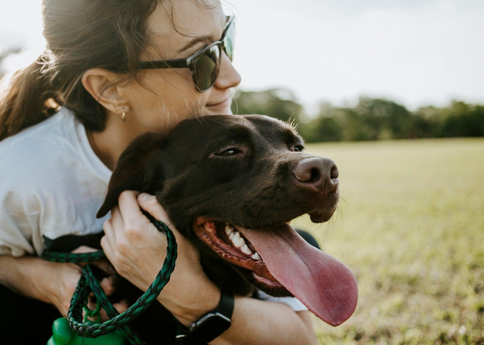 If Your Dog Does These 4 Little Things, You're Their Whole World — Family