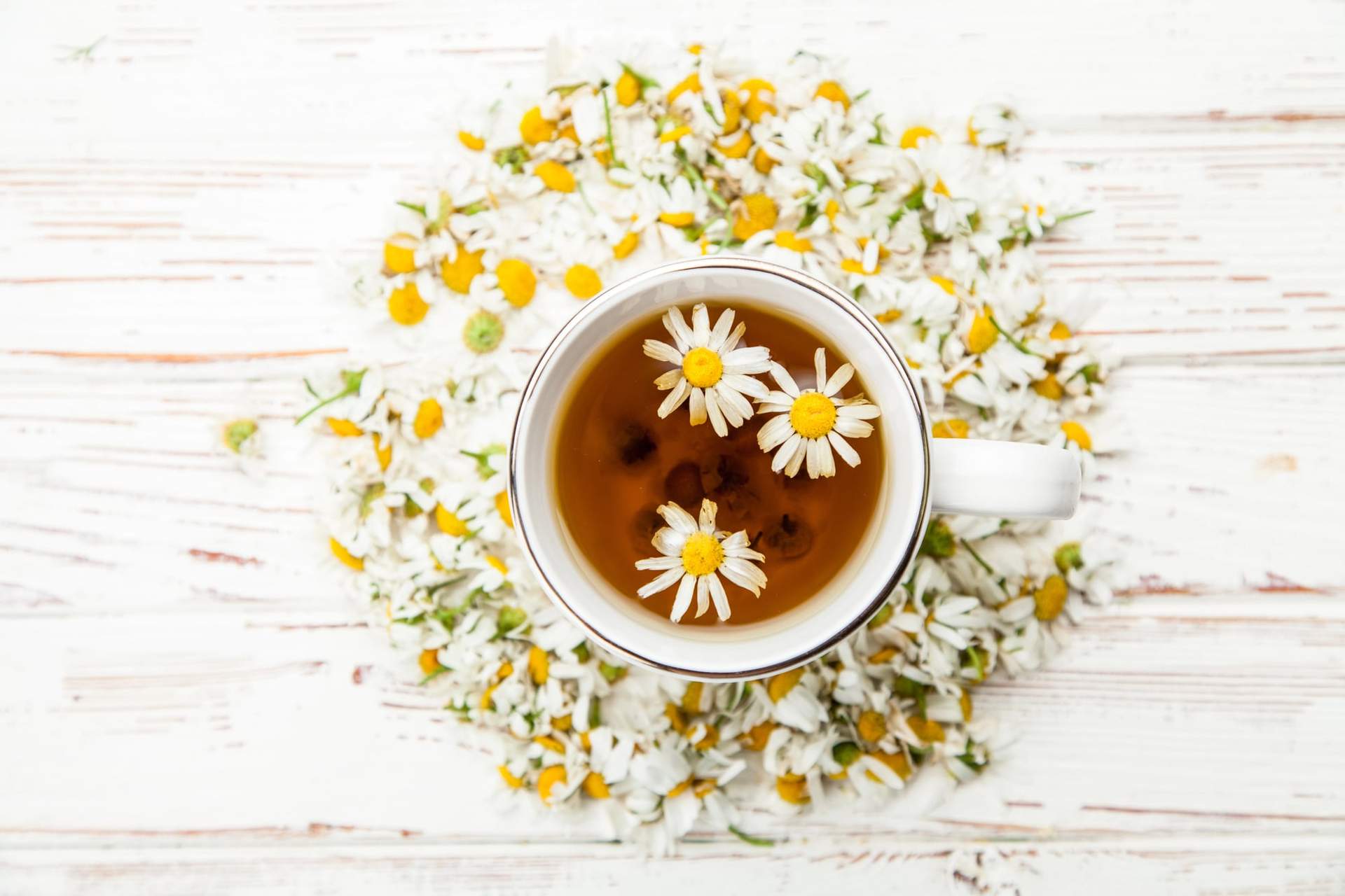 La tisane de camomille : quand et comment la boire pour qu'elle fasse vraiment effet — Santé