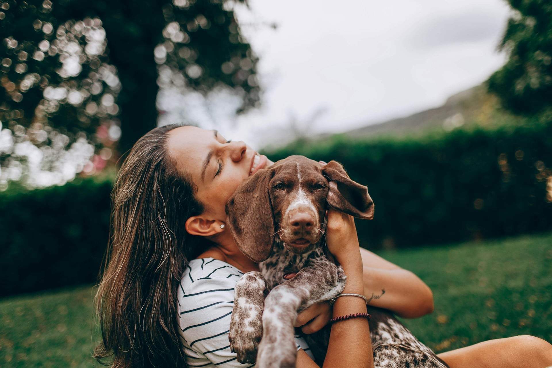 Warum dein Hund dich anstarrt, während er sein Geschäft macht – Hundeexperten kennen den Grund — Familie