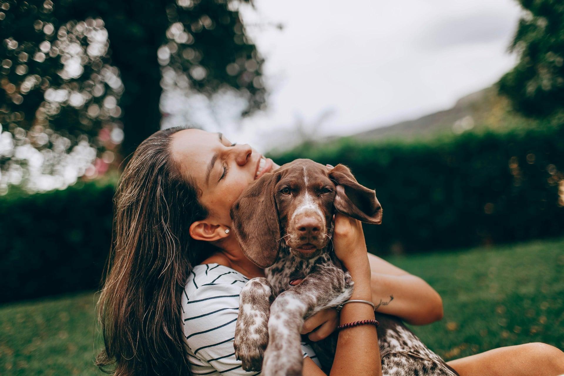 Il tuo cane ti fissa mentre fa i suoi bisogni? Gli esperti spiegano il vero motivo — Famiglia