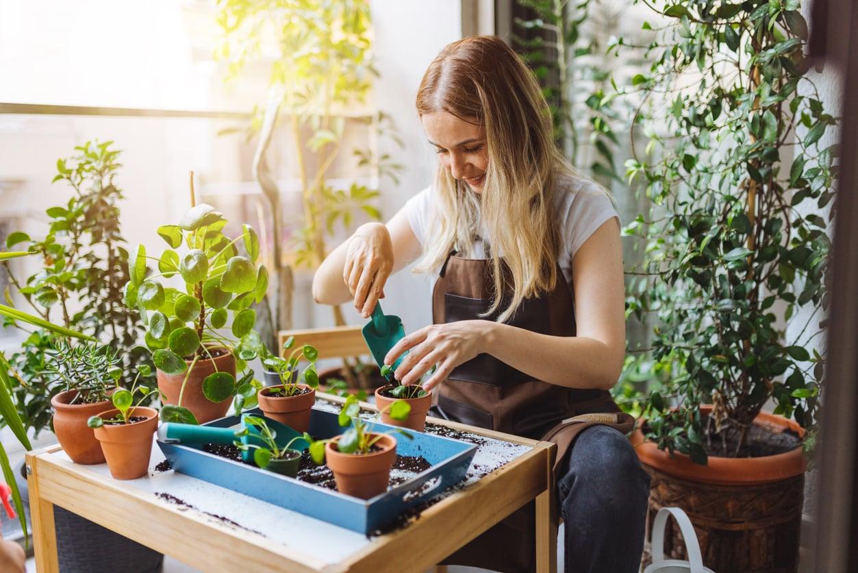 Ho provato il metodo del "giardiniere pigro" e non ho mai avuto così tante piante — Giardino e terrazza
