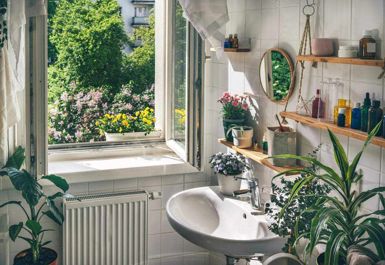 You've Been Leaving the Bathroom Window Open All Summer — Here's Why Mold Is Still Spreading — Household