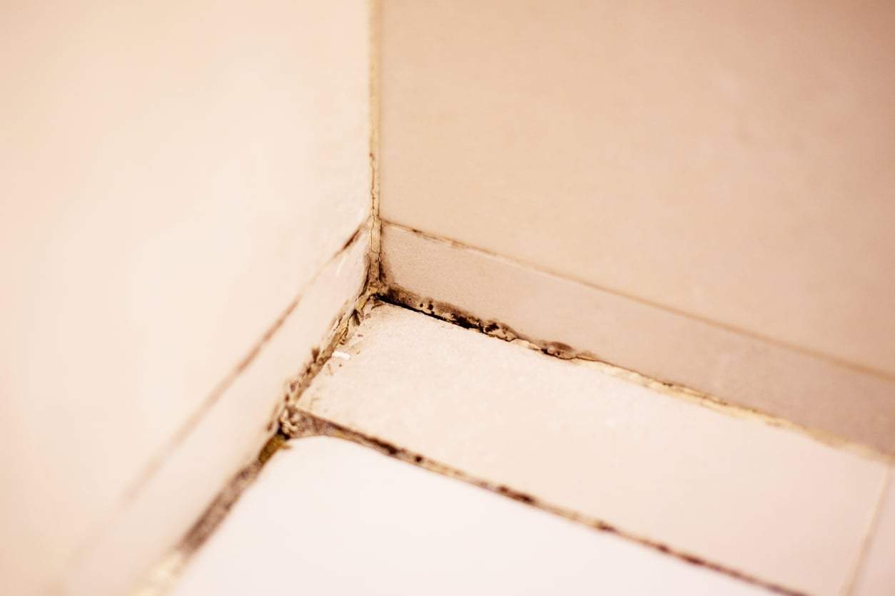 Moisissures noires dans les joints de la salle de bain ? Ce remède maison les fait disparaître — Ménage