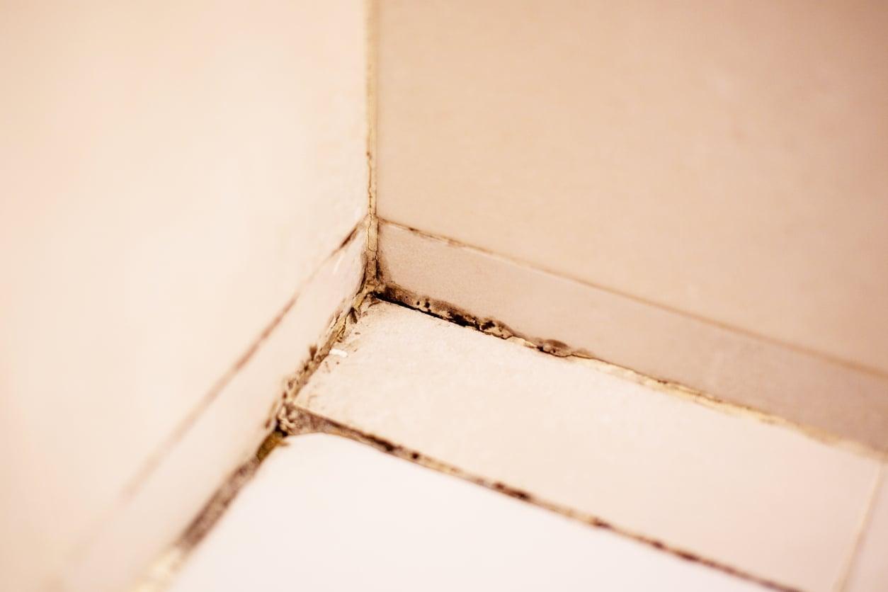 Black Mold in Your Bathroom Grout? Spread This On and It'll Turn White Again — Household