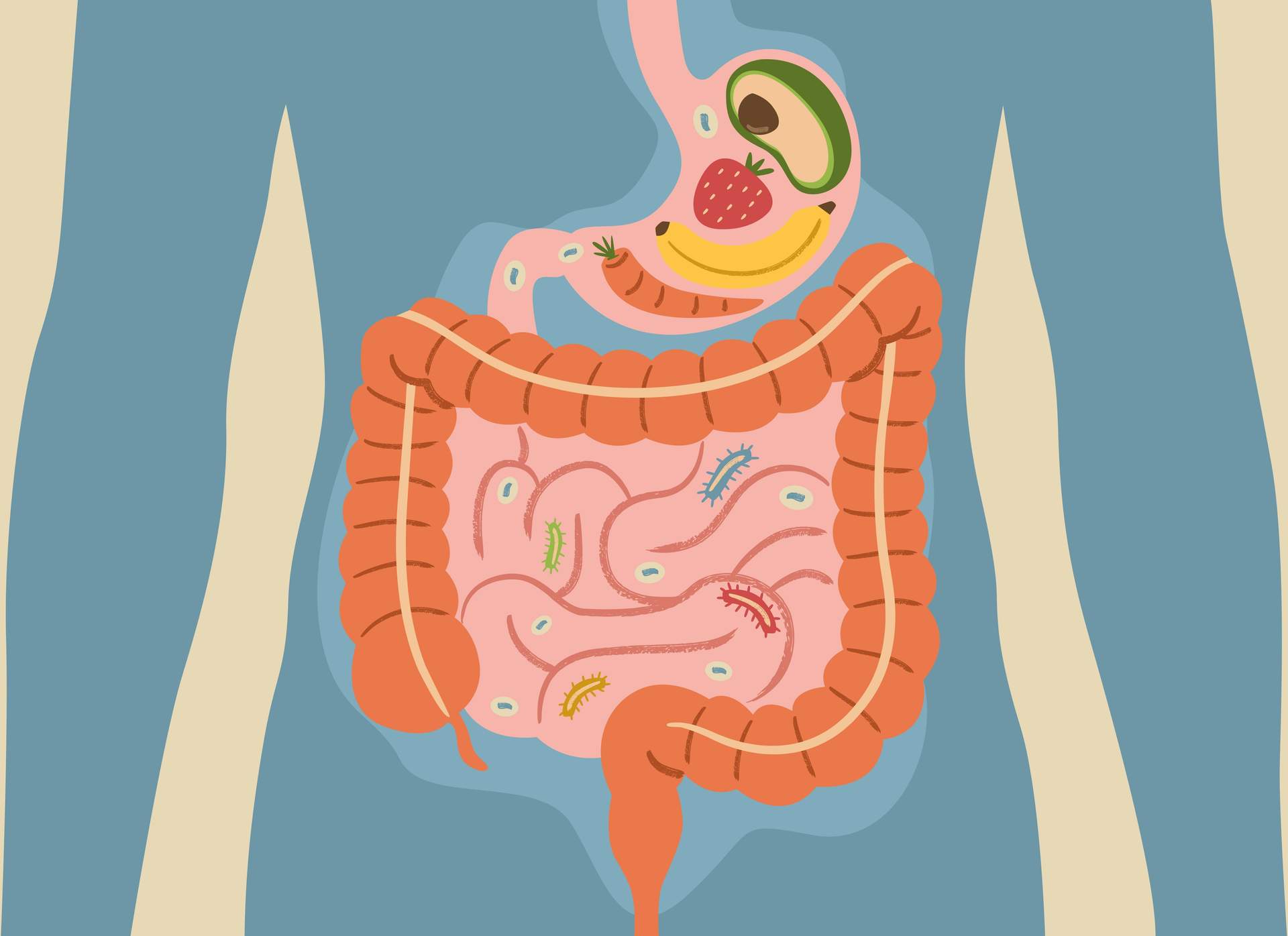 Inflamación silenciosa en el intestino: 7 señales físicas de que tu cuerpo lucha contra algo sin parar — Salud