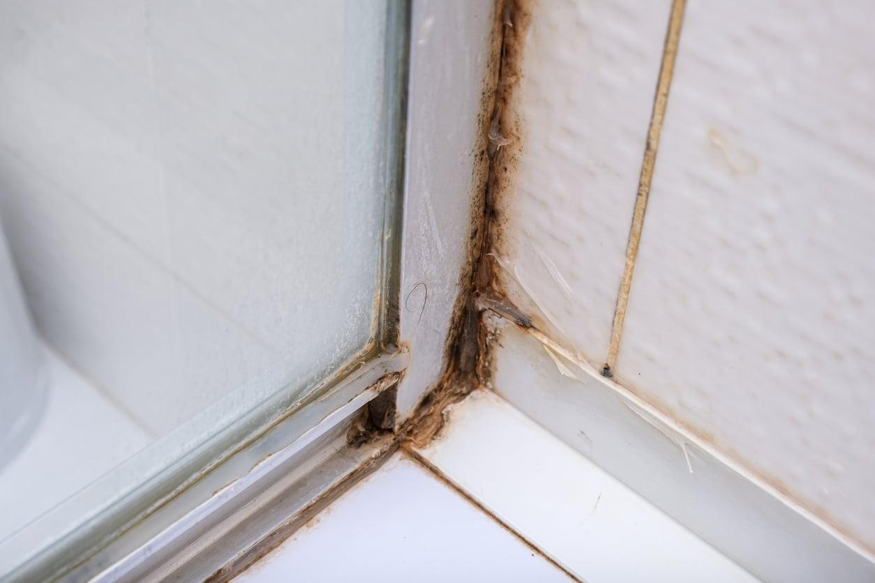 Mold on Shower Silicone? This Overnight Trick Actually Gets Rid of It — Household