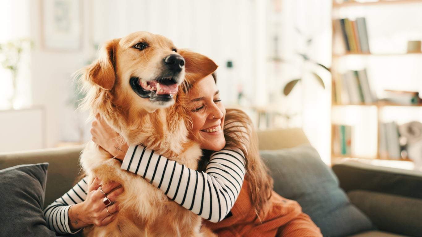 5 Zeichen, mit denen dein Hund dir ohne Worte sagt, dass er ein perfektes Leben an deiner Seite führt — Familie