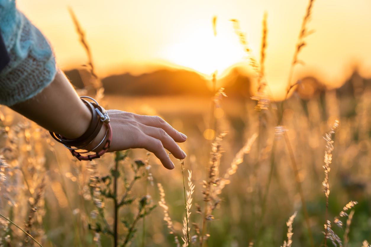 5 Zodiac Signs the Taurus Full Moon Will Show What's No Longer Worth Fighting For — Lifestyle