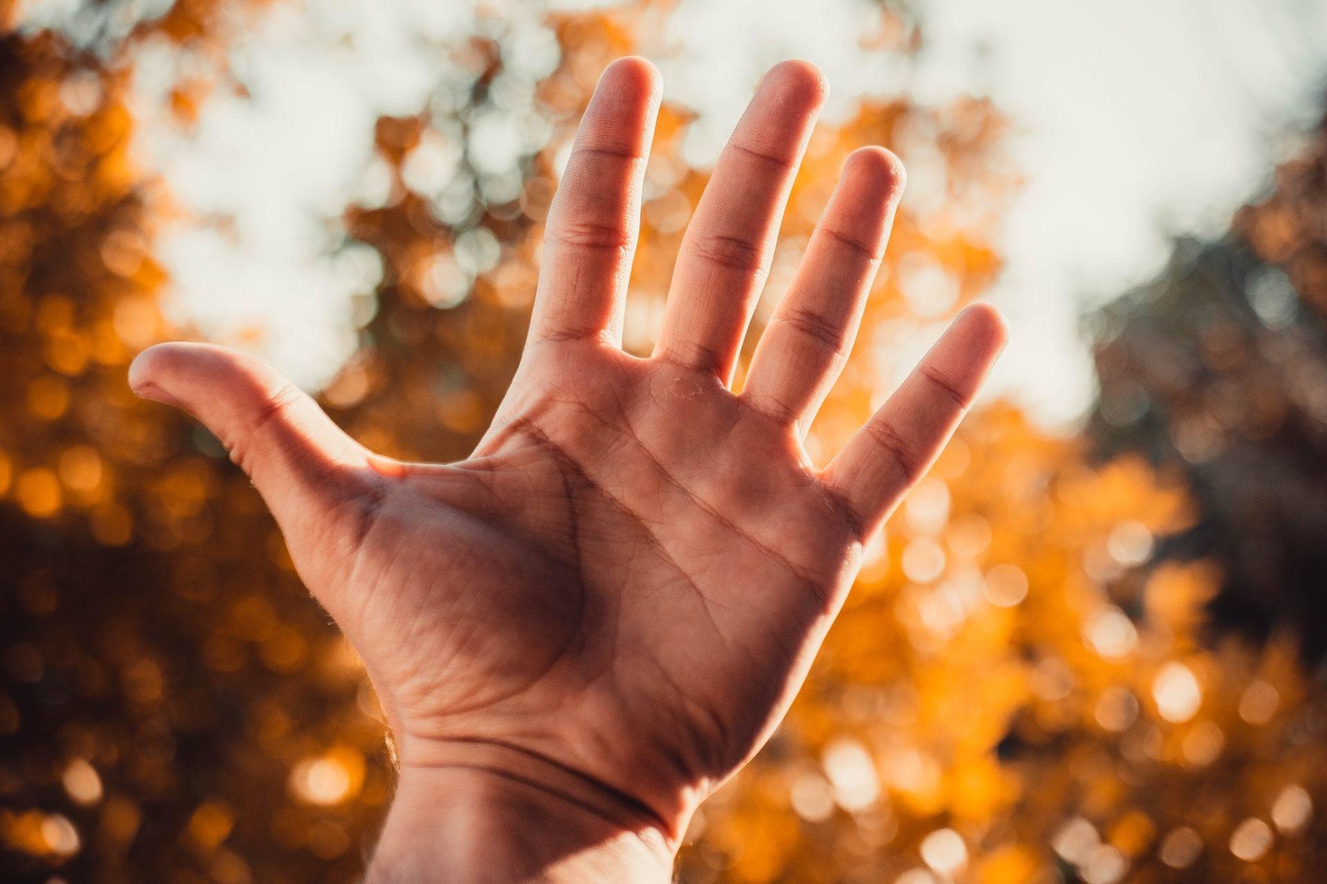 Si vous voyez un triangle dans la paume gauche, voici ce que vous avez apporté en naissant — Mode de vie