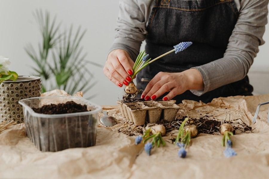 10 plants to put in the ground this fall if you want your garden blooming on the first warm day of spring — Garden & terrace